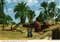 john hinde postcards - Africa