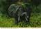 john hinde postcards - Africa