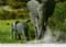 john hinde postcards - Africa