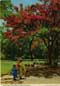 john hinde postcards - Africa