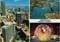 john hinde postcards - Australia