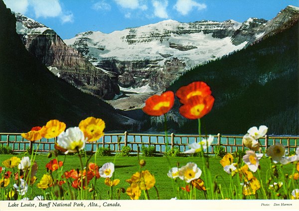 john hinde postcards - Canary Islands