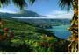 john hinde postcards - Canary Islands