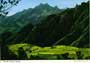 john hinde postcards - Canary Islands