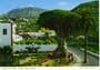 john hinde postcards - Canary Islands