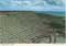 john hinde postcards - Cyprus