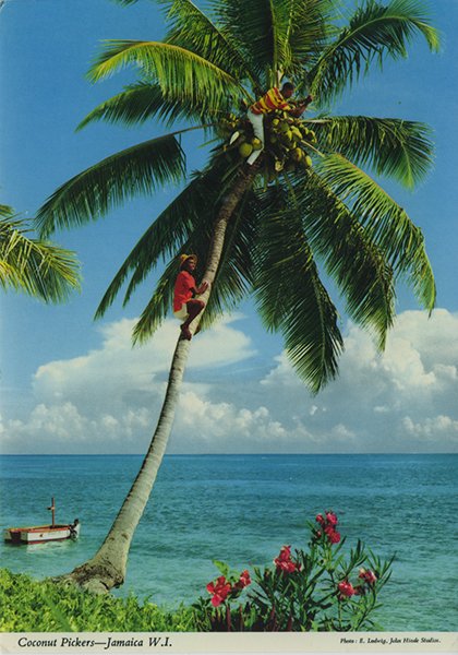 Descriptive essays for kids picture