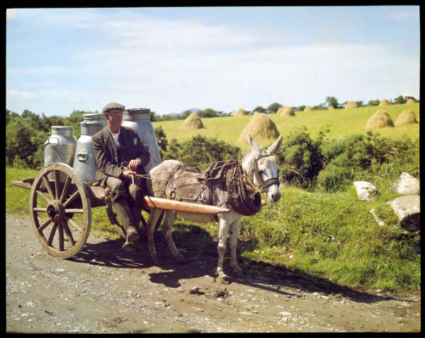 Delivering Milk to the Creamery by John Hinde