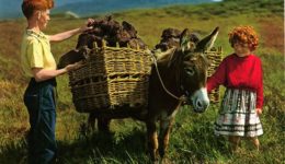 Ireland