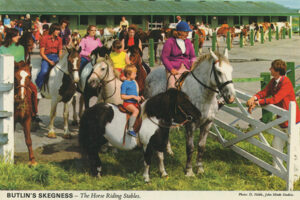 sk20